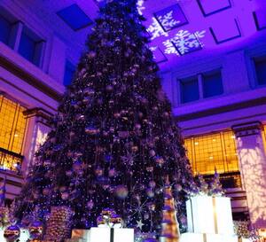 The Walnut Room Menu Menu For The Walnut Room Loop Chicago Walnut Room Chicago Christmas 2021